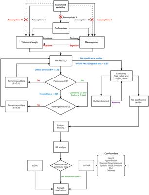 The causal relationship between genetically determined telomere length and meningiomas risk